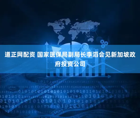 道正网配资 国家医保局副局长李滔会见新加坡政府投资公司