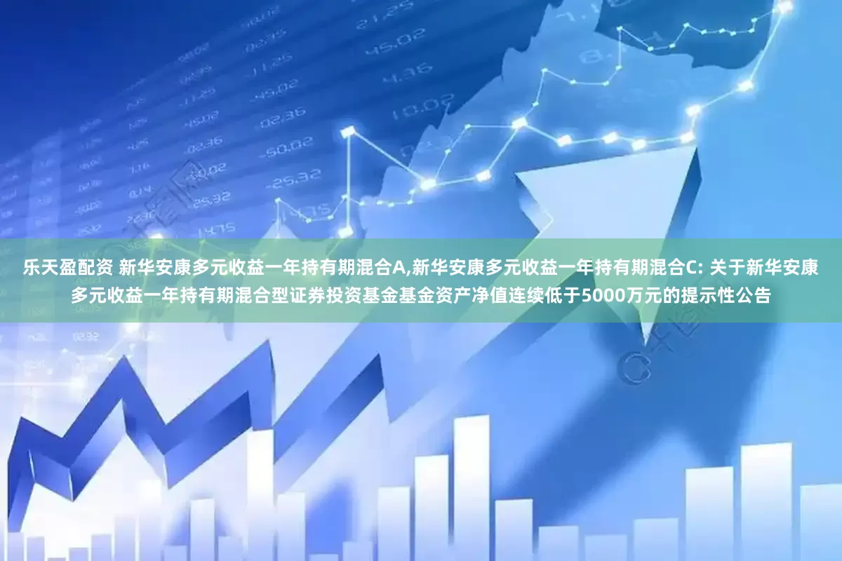 乐天盈配资 新华安康多元收益一年持有期混合A,新华安康多元收益一年持有期混合C: 关于新华安康多元收益一年持有期混合型证券投资基金基金资产净值连续低于5000万元的提示性公告