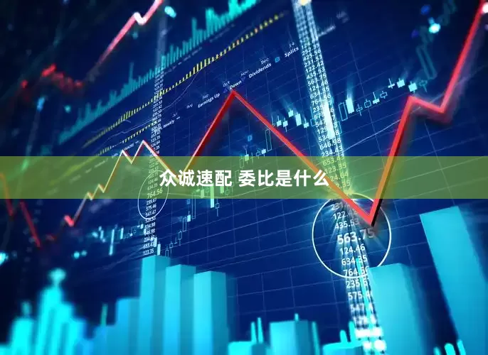 众诚速配 委比是什么